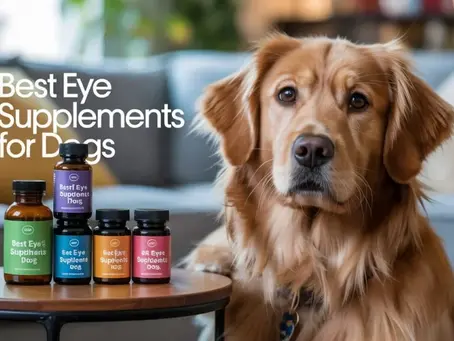 Best Dog Eye Vitamins for Healthy Vision