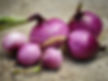 Onion: Round Tropea