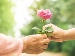 Wisdom Story of the Month: It’s SWC’s Birthday! 