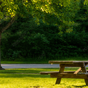 From Park Upgrade to Parking Lot: The Rancho Laguna Picnic Table Saga
