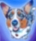 Paint Your Pet