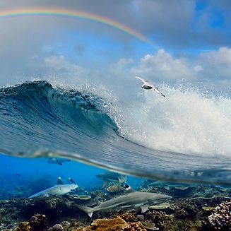 ocean waves.jpg