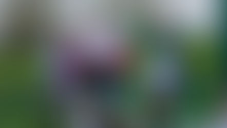 Dundalk FC v Drogheda United: Preview