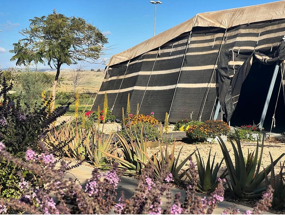 Wadi Attir : l’alliance du savoir ancestral et de la science moderne