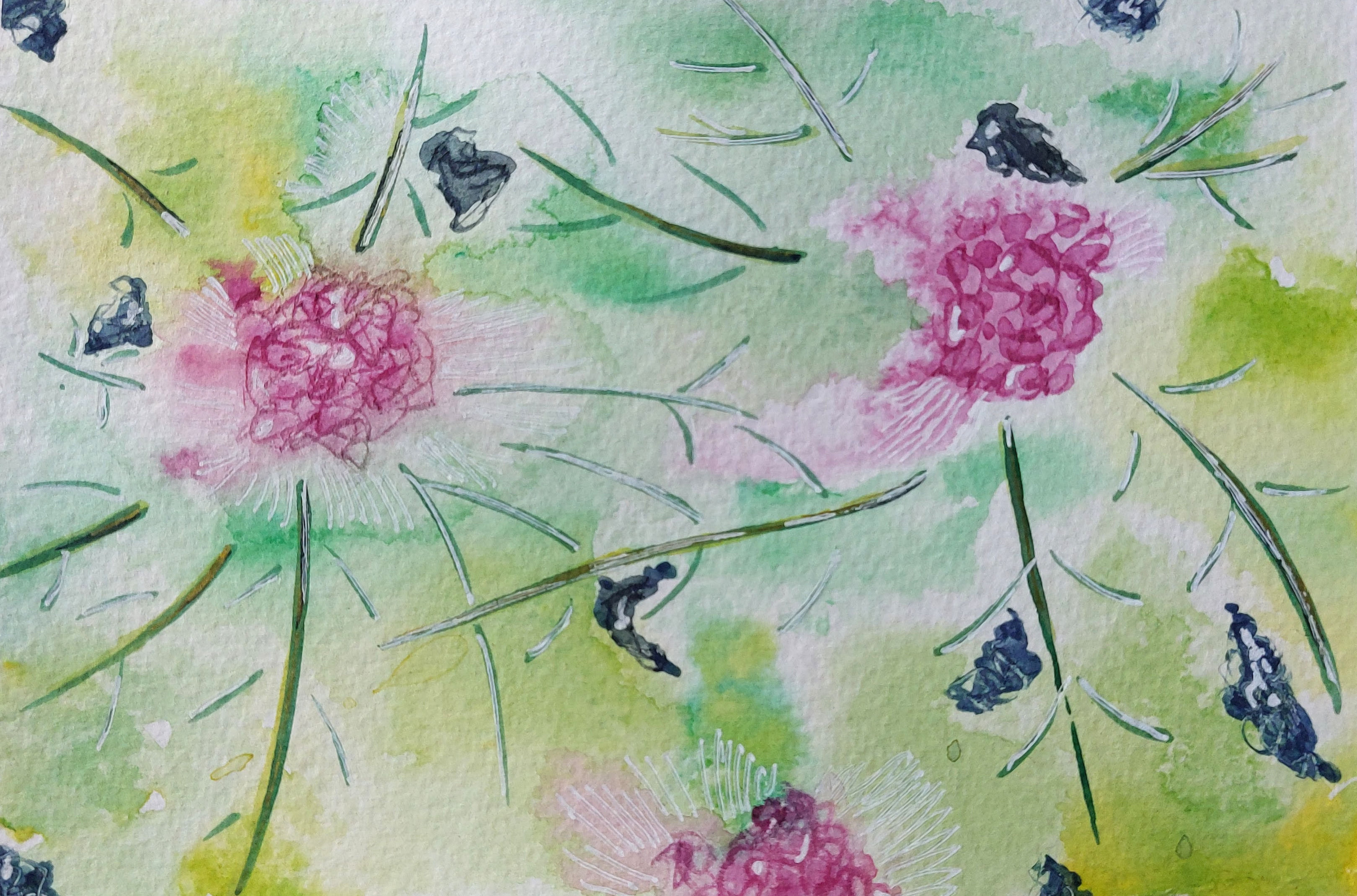 Summer Floral 3 - Semi abstract pink echinacea