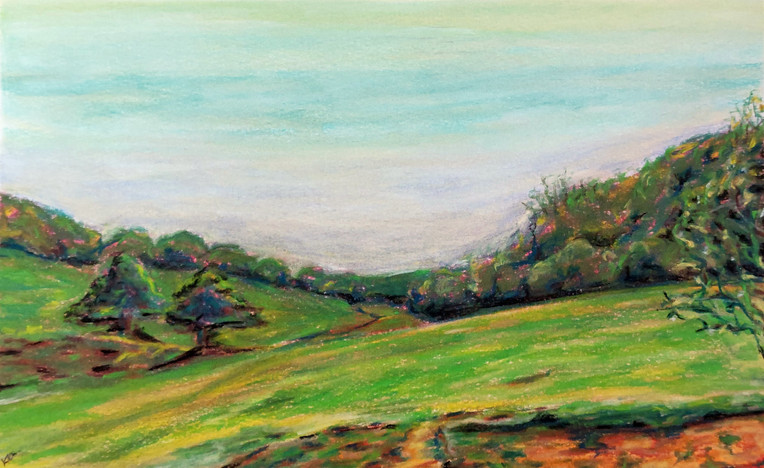 Devon hillside in soft pastel. Hills, and trees at sunset.