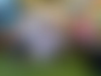 Full SIGFA International Tournament Roundup