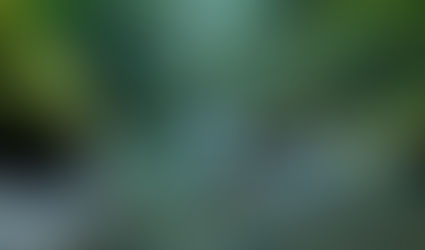 Cascadas de Pishurayacu, Tarapoto