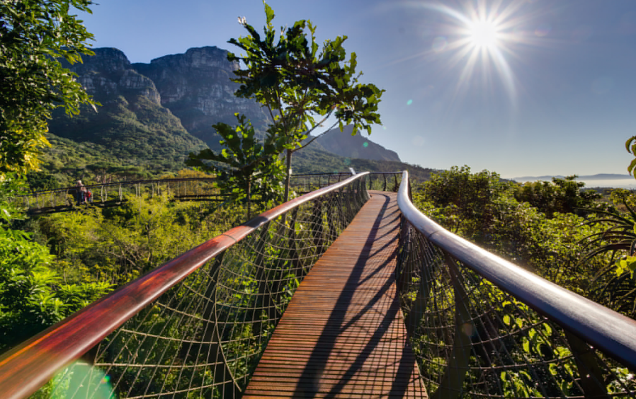 Kirstenbosch