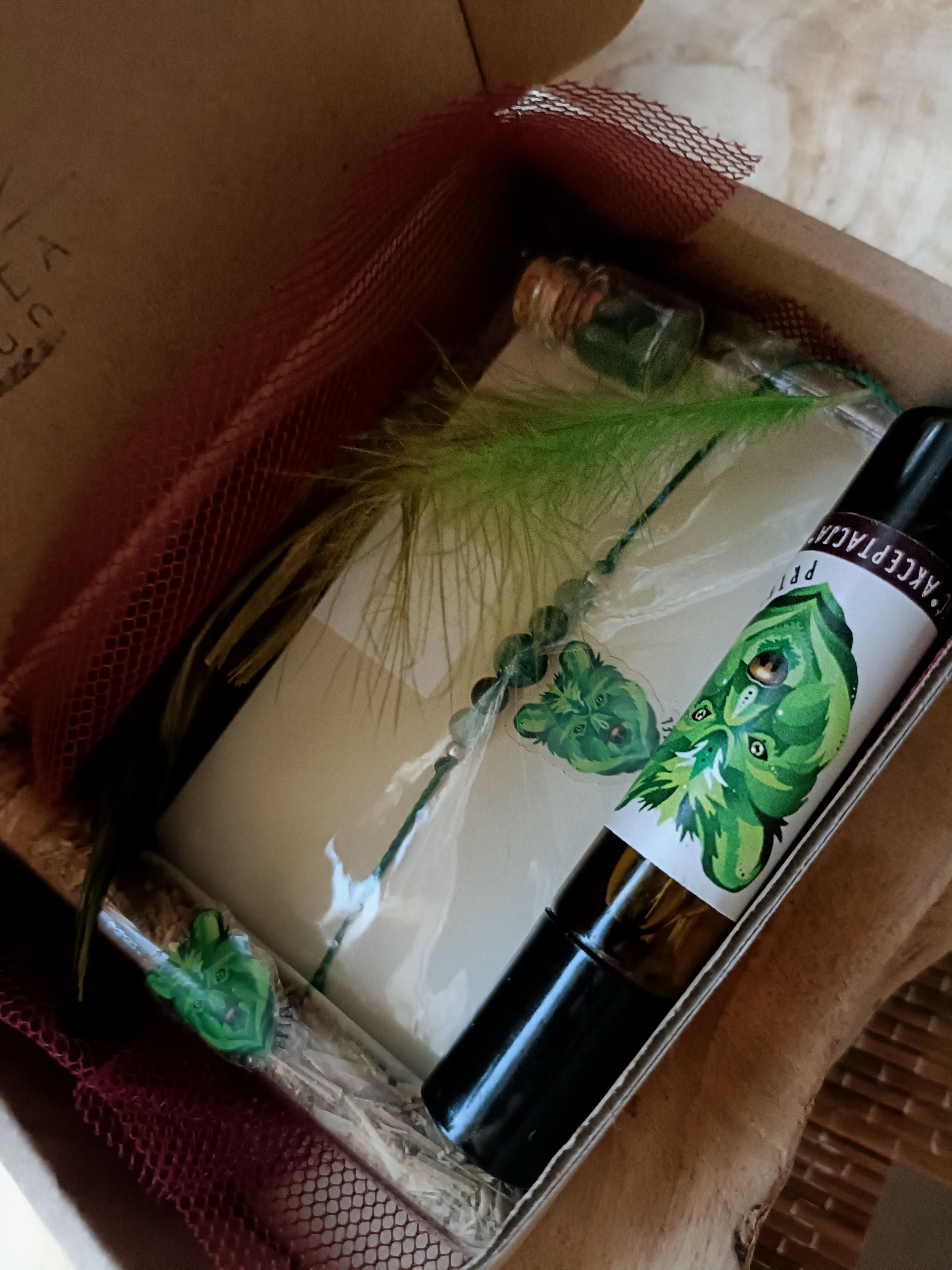 BOX Niedźwiedź Priel