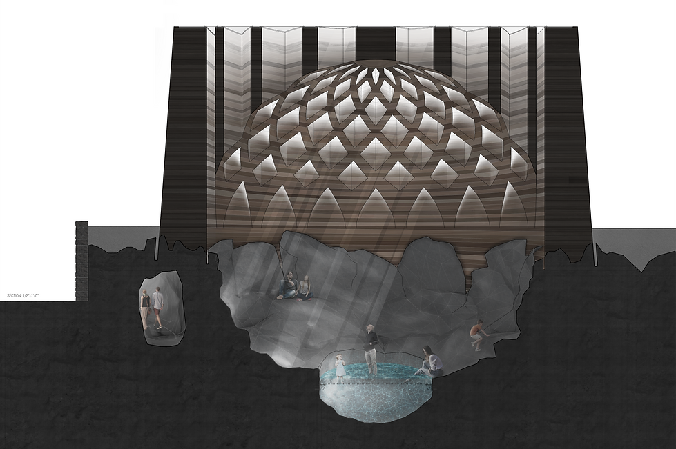 Section_Reduced.png