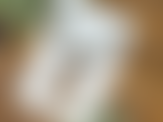 Introducing the Seasonal Set Collection — Now Available for Wholesale Preorder