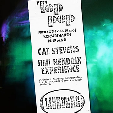 Cat and Hendrix Ticket