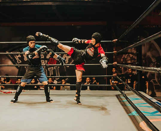 GNP Team Chemnitz wir bieten Grappling, BJJ, Brazilian JiuJitsu und MMA in Chemnitz