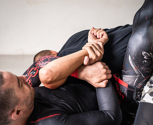 GNP Team Chemnitz wir bieten Grappling, BJJ, Brazilian JiuJitsu und MMA in Chemnitz