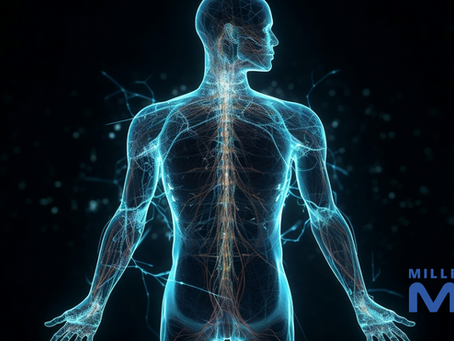 Why Get A Full Body MRI