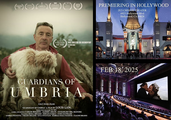 Umbria Premiere posters 2.jpg