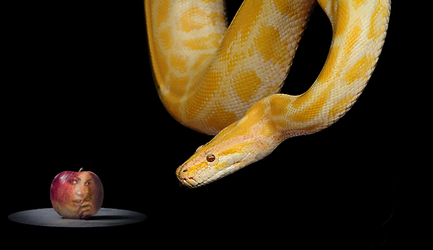 Evil Spiritual Beings in Earthly & Heavenly Realms