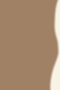 Brown and Cream Backround long.png