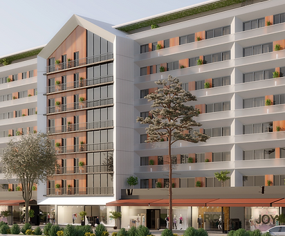 Housing Redevelopment