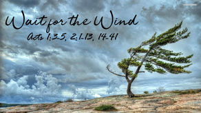 WAIT FOR THE WIND / 5.28.2023