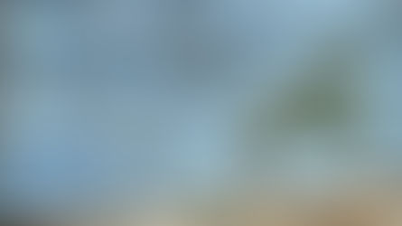 WAIT FOR THE WIND / 5.28.2023