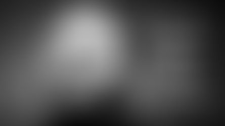 WILLINGLY BLIND / 6.11.2023