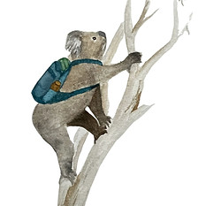 Koala Climb - OT Therapy Sessions