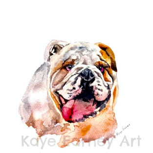 A close up prostate of an English bulldog with its mouth open.