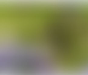 THE COMING SPRING 2026