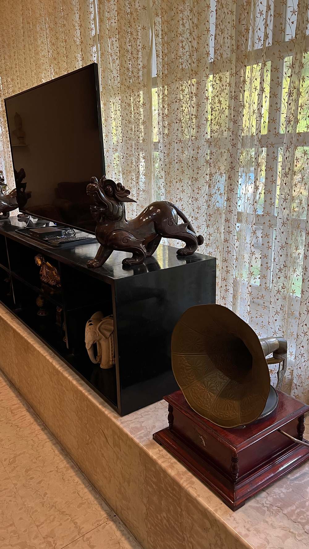 Luxury villa interior in Dehradun with TV, lion, gramophone