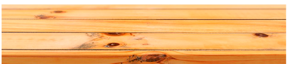 Base presentacion.png