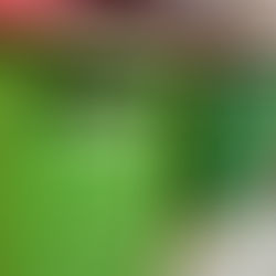 Get Organized Before the Holidays