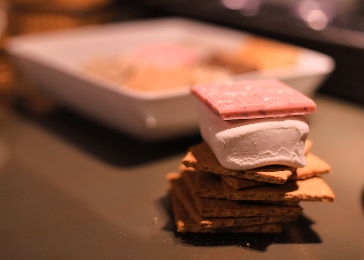 incredibles smores fox and nug_edited