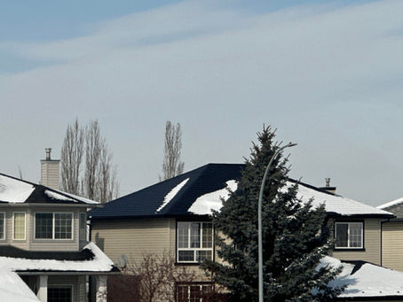 Snow-covered suburban houses with beige siding and dark roofs. A tall evergreen tree and barren trees stand in front. Overcast sky.