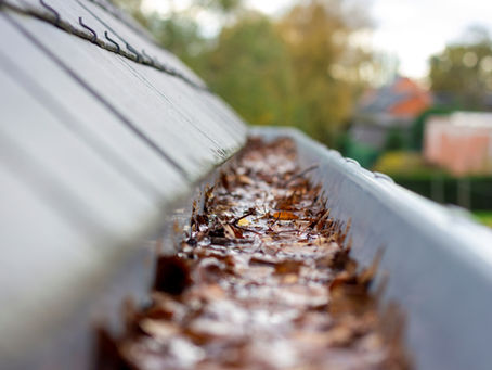 Close-up of a house gutter filled with wet, brown leaves. Roof tiles on the left, blurred trees and houses in the background.