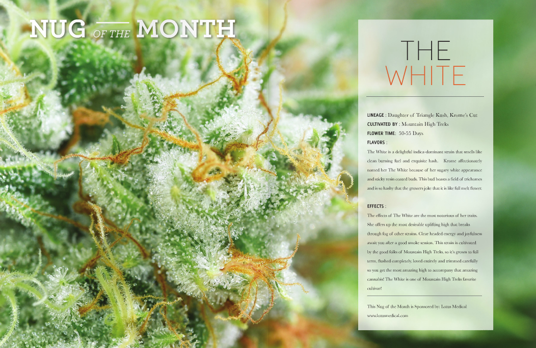 The White Strain Review FOX & NUG