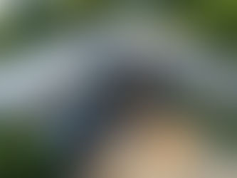 How Much Does a Roof Replacement Cost in Colorado?