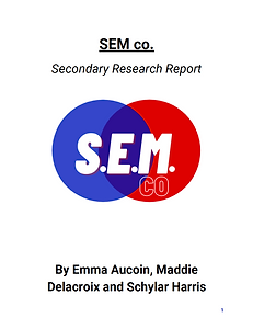 SEM Report.png