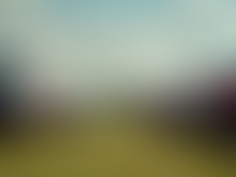 Getting Close: Vehicle Reference Images from the World’s Best Events