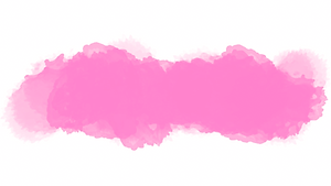 Rosa.png