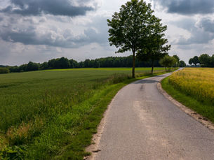 Paved country lane curves between green fields; representative rural-road photograph.