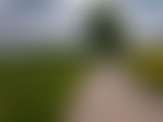 Paved country lane curves between green fields; representative rural-road photograph.