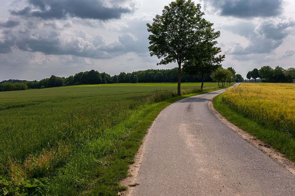 Paved country lane curves between green fields; representative rural-road photograph.