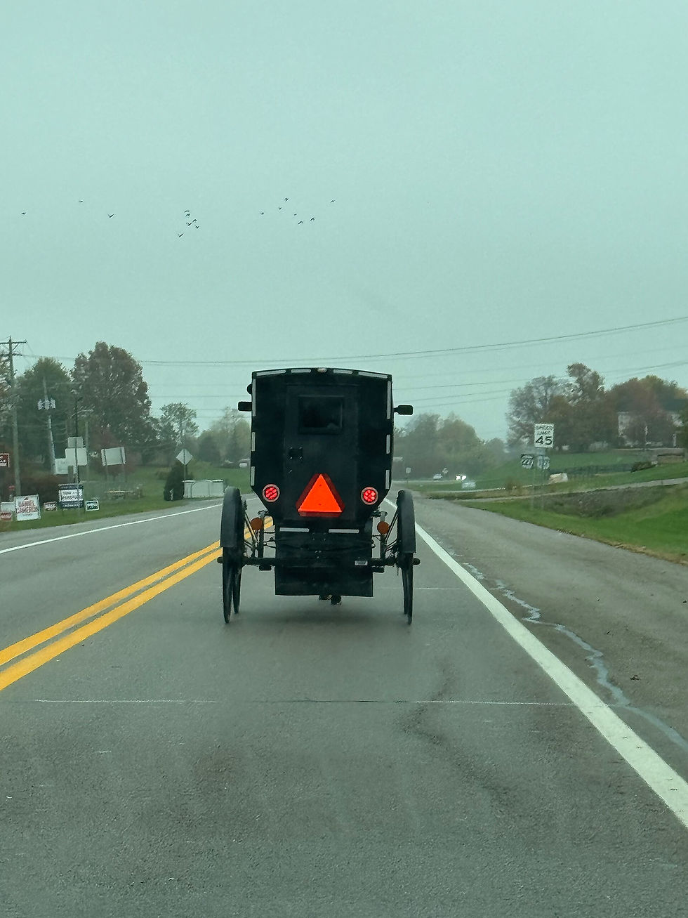 Horse-drawn Amish buggy traveling on US Highway 127 in Owenton, Kentucky.