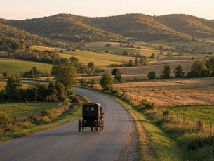 Visiting Allen County’s Rural Markets Respectfully