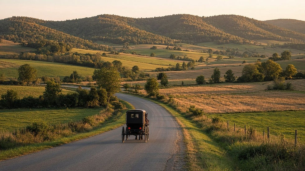 Visiting Allen County’s Rural Markets Respectfully