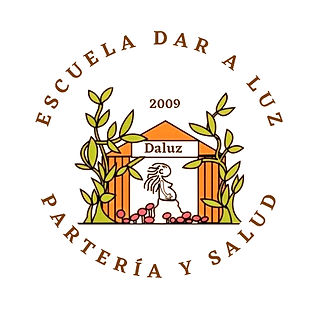 2022 9 Logo Daluz _edited_edited.jpg