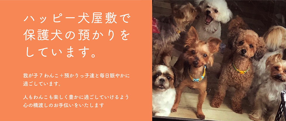 犬に塗れる.png