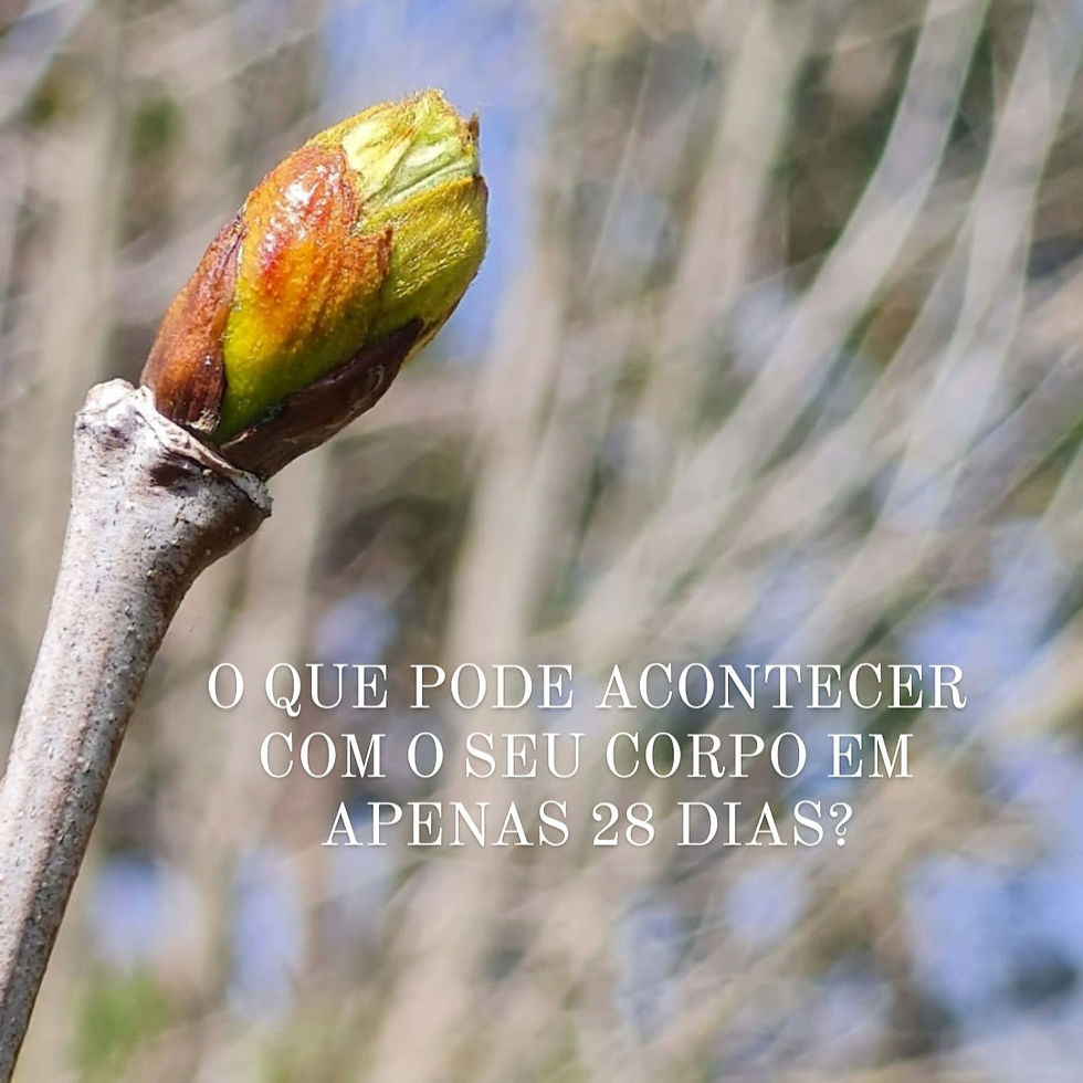 O que pode acontecer em 28 dias?